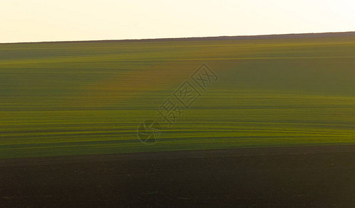 白色黄天空背景的绿色农田空白间图像对图片