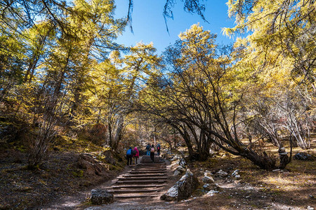 一群徒步旅行者在山上行走图片