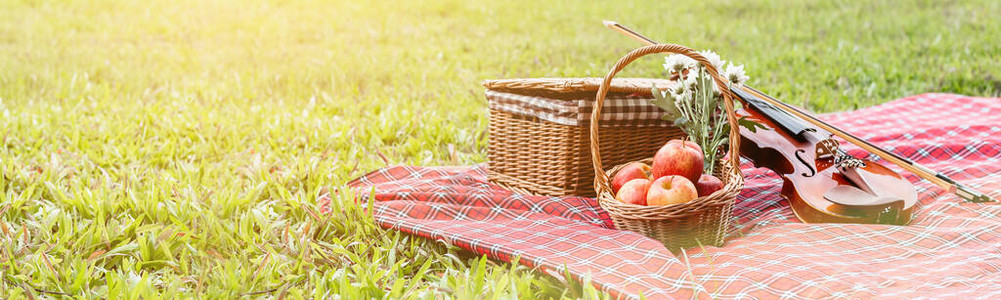 菜篮子水果面包和小提琴放在花园的红布上复制空图片