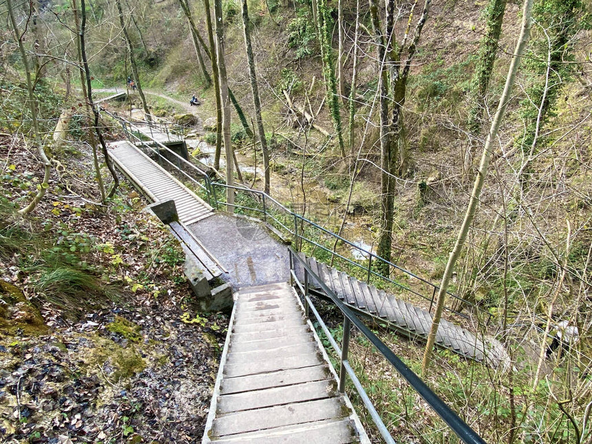 早春期间沿着Erlenbach小河和ErlenbacherTobel峡谷步行运动和休闲的小径苏黎世州或瑞士苏图片