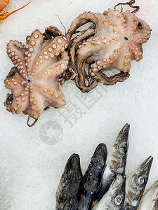 烹饪背景食物的海鲜鱼图片