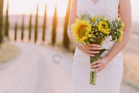 向日葵花束在日落时分由新娘在托斯卡纳举行向日葵婚礼花束在意大利托斯卡图片
