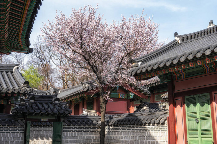在韩国首尔春间拍摄的长江宫建筑中图片