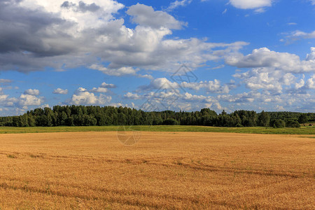 与麦田的农村风景全景秋天的农村全景全景拉特格图片