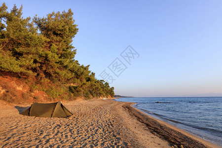 希腊Halkidiki半岛的Kassandra图片