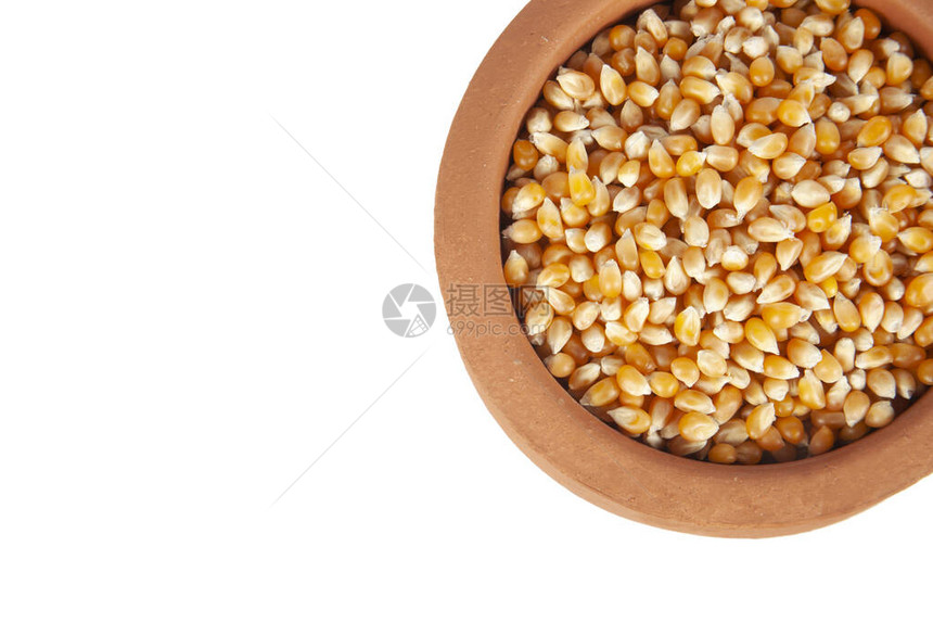 盘子里的玉米种子图片