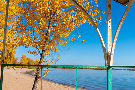 概念秋季假期沙滩和秋季树木的景色图片