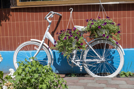 用鲜花装饰的白色自行车图片