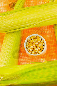 在明亮背景的白碗中种植蔬菜种玉米长图片