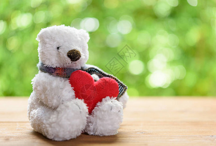 怀着抱红心的白色浮肿泰迪熊玩具独自坐在绿色模糊图片