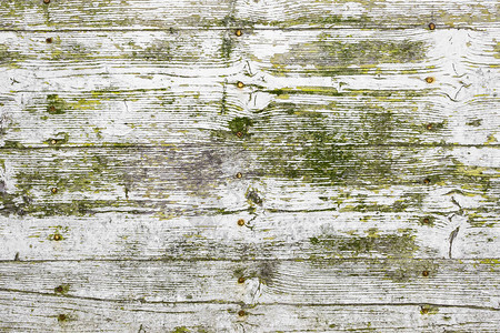 木质纹理背景与绿色黄模具的旧木材纹理不同的划痕和线条白色图片