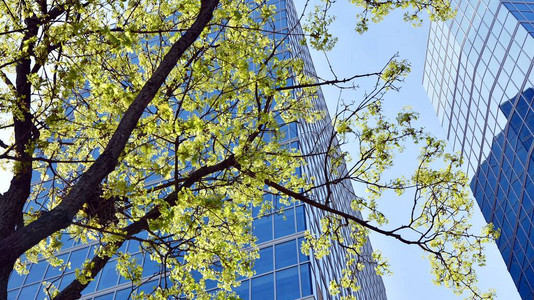 绿叶现代办公楼图片