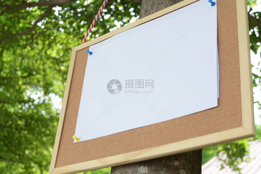 通知板上挂在花园树上的白纸页空白图片