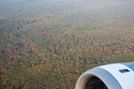 山地森林景观与秋天从葡萄牙飞图片