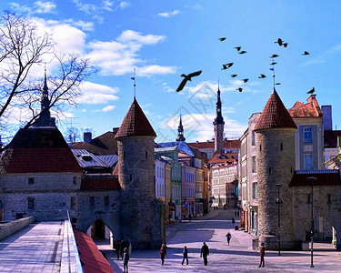 Tallinn旧城塔台红色屋顶高楼图片