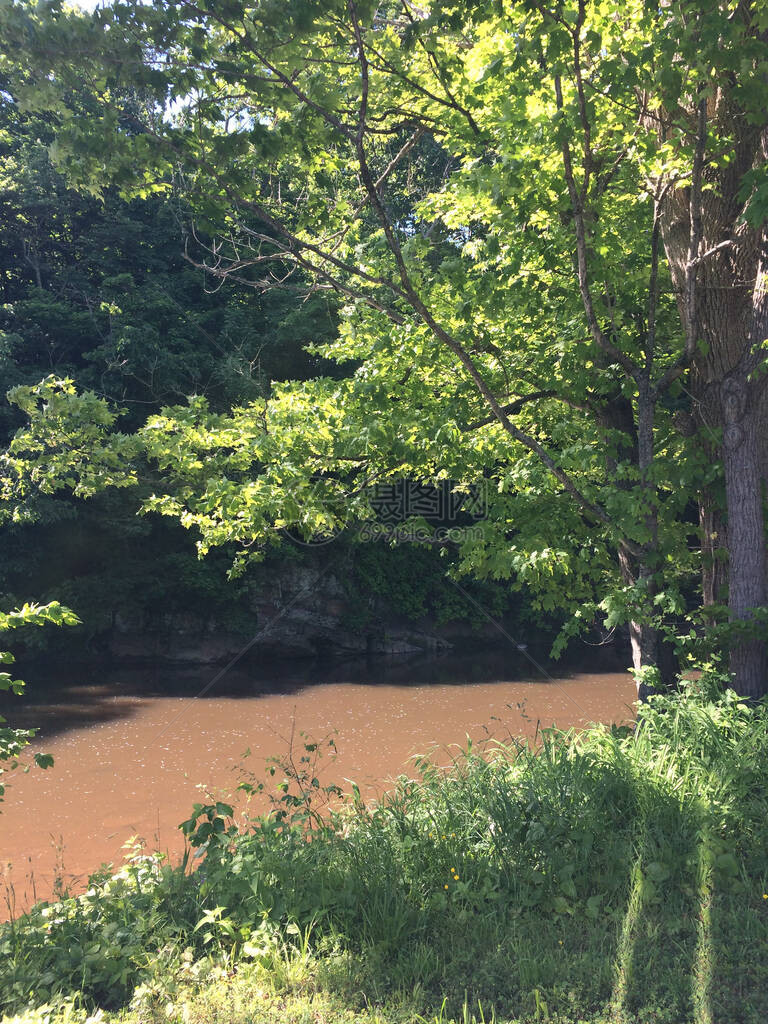 宁静的河流绿树和流水图片