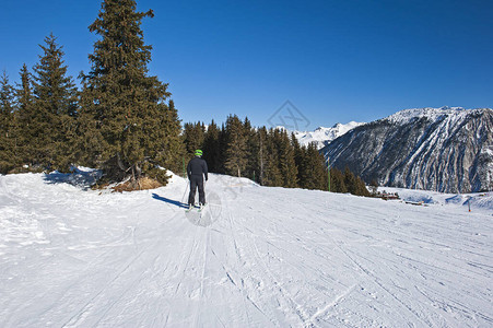 在高山度假胜地穿过树木的滑雪图片
