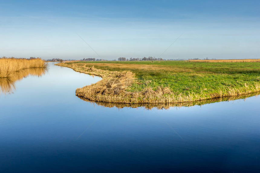 荷兰的乡村景观图片
