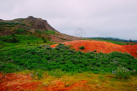 夏季冰岛间歇泉谷绿色植被和红色火星土背景图片