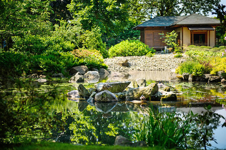 夏天的日本花园美丽的自图片