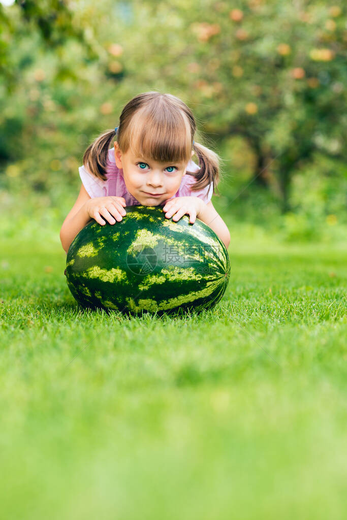 幼稚女孩在夏季花园的草坪上被大西瓜围着图片