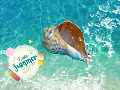 夏季背景贝壳在海浪蓝色海水溅模板背景与夏季刻字图片