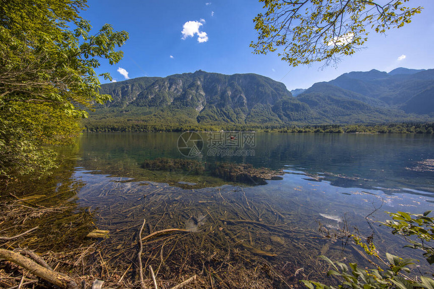 BohinjskoJezero或Bohinj湖在斯洛文尼亚布莱德附近阳光明媚的夏日从北海岸观察到的BohinjskoJezero图片