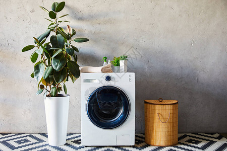 洗衣篮和浴室装饰地毯附近洗衣机上的绿色植物毛巾和图片