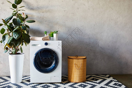 洗衣篮附近白色洗衣机上的绿色植物毛巾和瓶子以及浴室图片