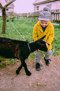 小男孩在农村的农场里图片