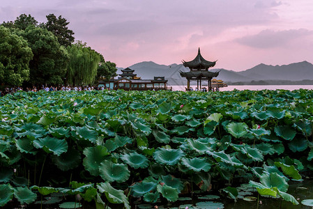 美丽的西湖风光杭州的日落景观图片