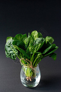 一串黑底玻璃杯中新鲜有机菠菜绿叶图片