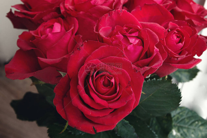 红玫瑰花束作为礼图片