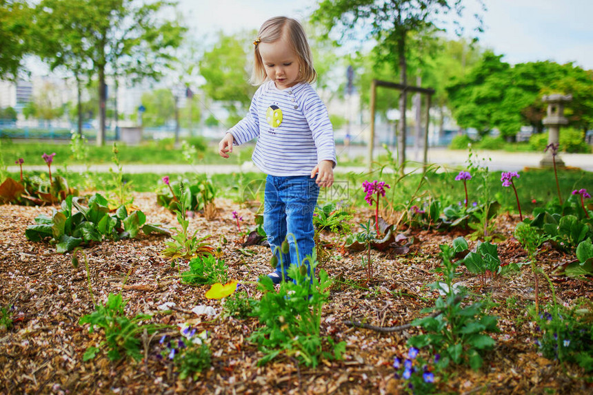可爱的蹒跚学步的女孩看着花坛上生长的花朵小孩学习如何种植物孩子图片