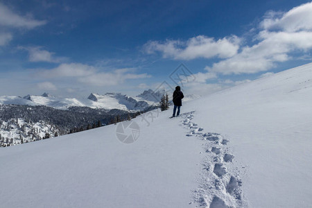 一个孤独的人站在覆盖着原始白雪的山坡上图片