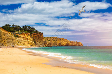 PraiadePortoMos与海鸥飞过海滩图片