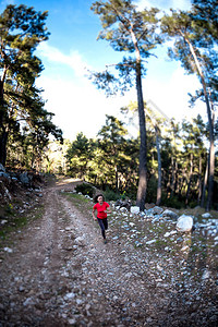 一个女人沿着山路奔跑赛跑者在森林里训练在公园里慢跑的女孩天跑鱼眼镜头图片