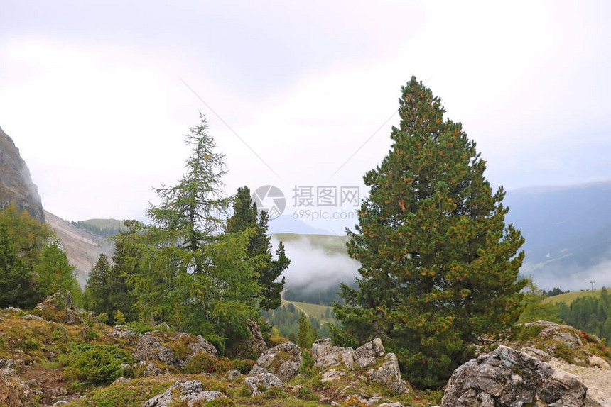 意大利多洛米蒂山的峰被雾覆盖早湿多雾的早晨立秋空气清新图片