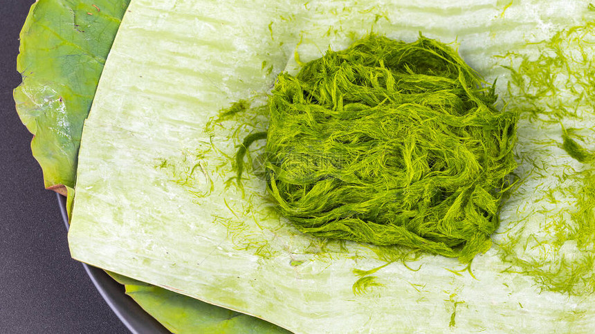 淡水绿色藻类科学名称为香蕉叶上的Spiro图片