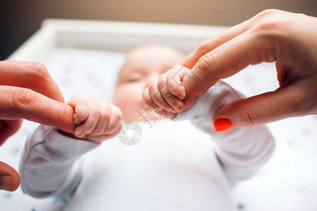 婴儿育婴室里新生的婴儿父母亲手抱着图片