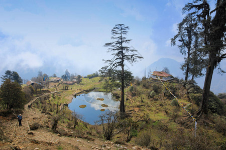 湖边和树木附近的一座小山屋的顶端景色图片