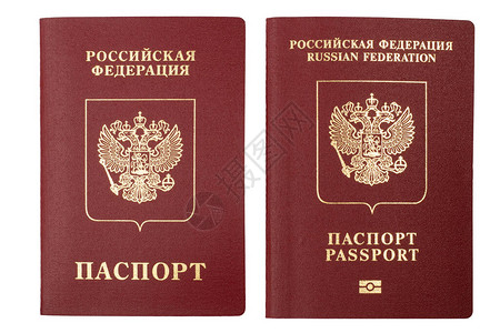 俄罗斯联邦公民的国际生物统计学护照图片