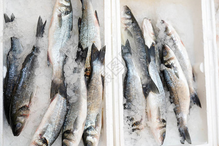 超市白色容器中的冷冻鱼图片