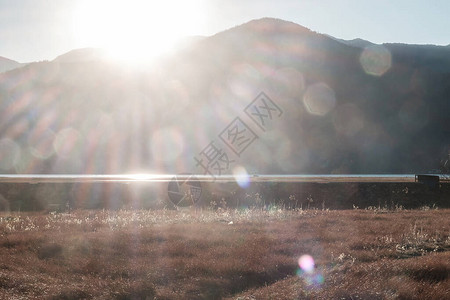 纳帕湖草原美丽的日落和草地图片