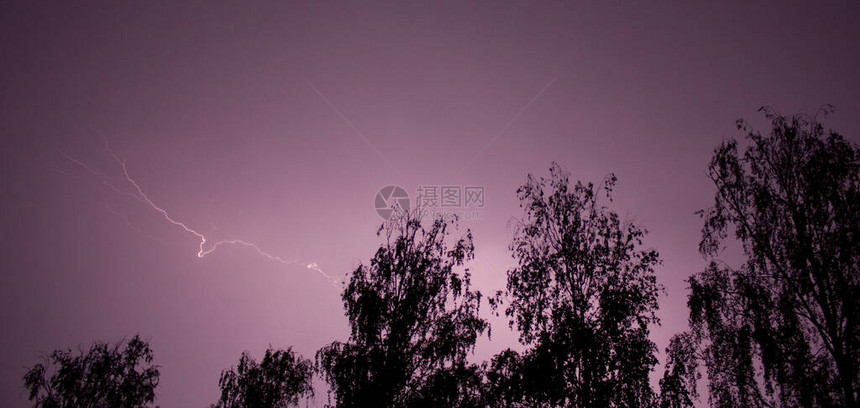 夏雨真闪电在树底图片