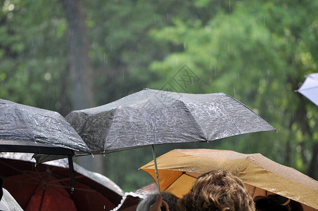 露天伞在夏雨的滴下对着背景图片