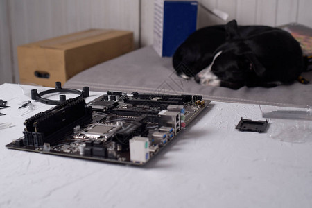 计算机技术员安装计算机冷却系统工程师修理计算机pc板技术人员在主板上插入电子零件狗睡觉无聊根据说明修理电脑背景图片