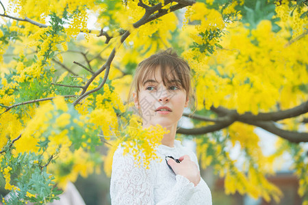 白种年轻女子凝视着盛开的含羞草花图片