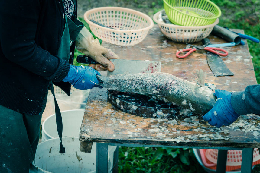 亚洲鱼贩在美国德克萨斯州休斯顿的越南海鲜和农贸市场使用长刀刮鱼皮关闭工人手在塑料图片