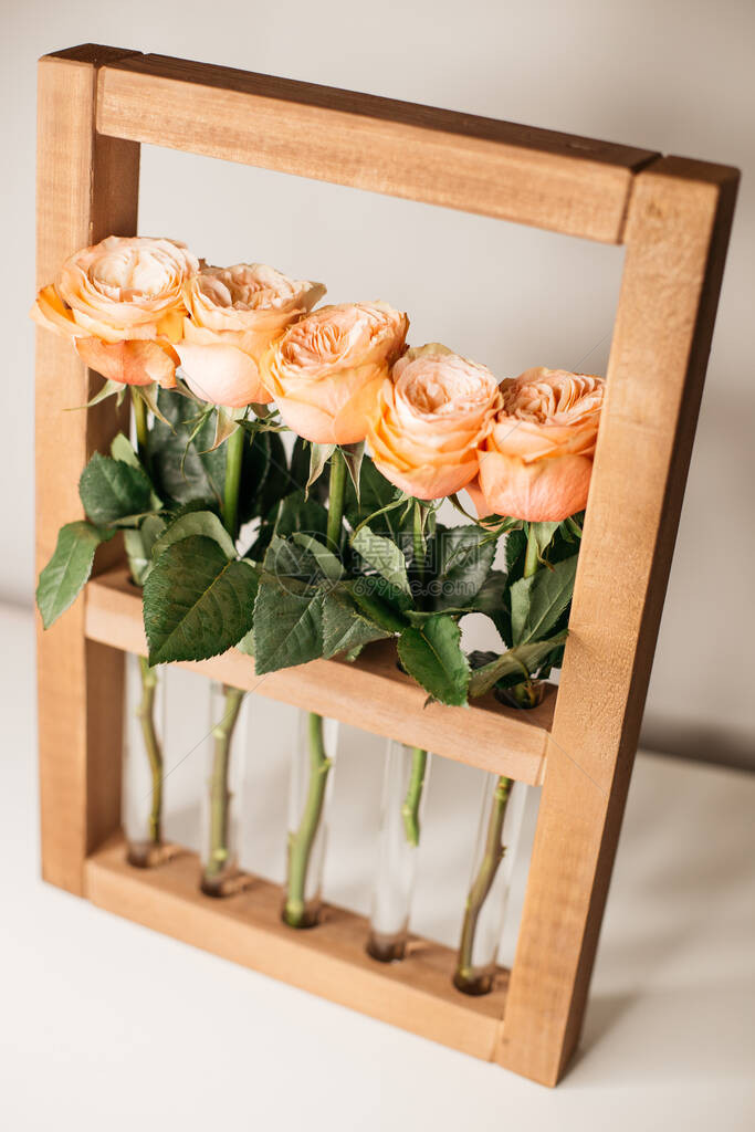 木框架中的橙色玫瑰图片
